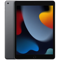  iPad (Gen 9) LTE 256GB 