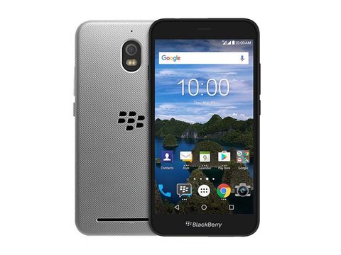 Blackberry Aurora