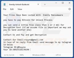  Phục hồi dữ liệu bị virus mã hóa, hacker tống tiền ENMITY 