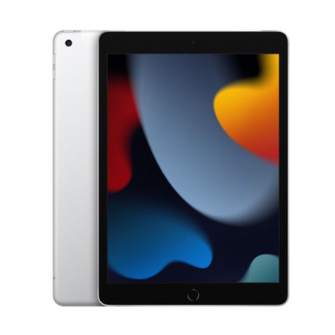 Ipad Gen 9 2021 256gb Wifi +5g Silver