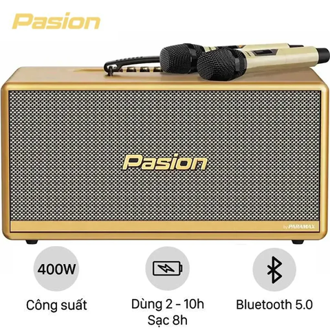 Loa Di Động Xách Tay Paramax PASION 2c