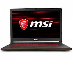 Msi Essential Gl73 8Rd-418Us