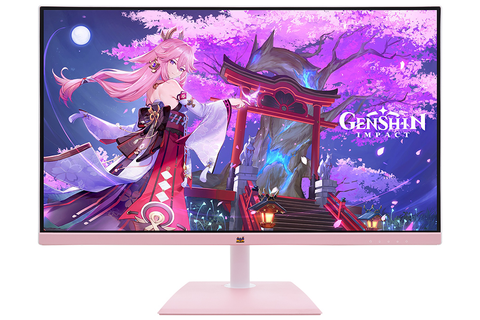 Màn hình Viewsonic VA2436-H-PN 24 inch