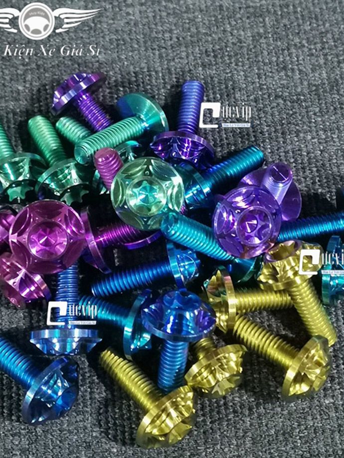 Combo 2 Ốc Gắn Bảng Tên, Ốp Pô Xe Máy Titan Thật GR5 Kiểu Salaya MS3525