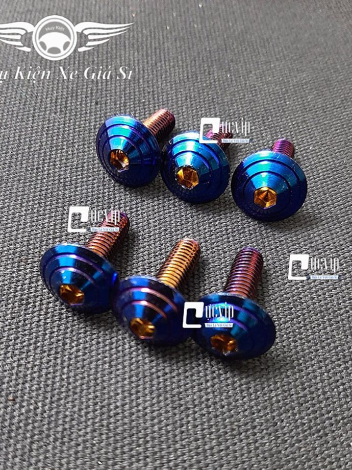 Combo 6 Ốc Đầu Dù Lục Giác 6Ly2 Titan Gắn Ốp Pô Và Bảng Tên Xe Máy MS3735