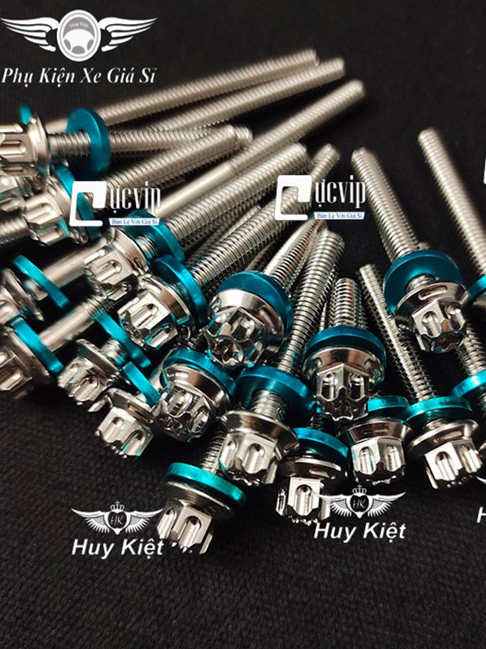 Bộ Ốc Lốc Máy Salaya M3 (VM) + Tặng Lông Đền Nhôm Xanh Lục Bảo Cho Wa, Si, SH, Vario, AB, Xi Po, Win, Ex, Dr, Fu, Jupiter, Sonic, Raider, Satria, Vision MS9999