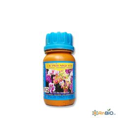 A RI PHỐT NHẬT 450