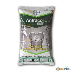 ANTRACOL 70WP | Áo giáp kẽm cho cây - Gói 1Kg
