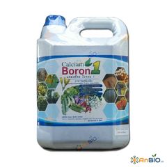 CALCIAM BORON 1 - Canxi Bo Thái Lan Can 5L