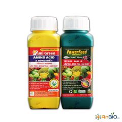 Cặp Ami Green & PowerFeed | Xanh lá, lớn trái, đặc ruột