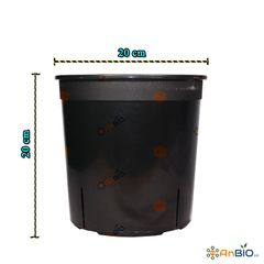 CHẬU NHỰA TRỒNG LAN KIẾM (ĐỊA LAN) | ĐƯỜNG KÍNH 20CM