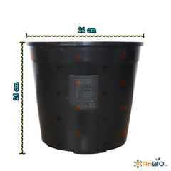 CHẬU NHỰA TRỒNG LAN KIẾM (ĐỊA LAN) | ĐƯỜNG KÍNH 22CM