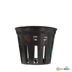 CHẬU NHỰA TRỒNG LAN 12cm