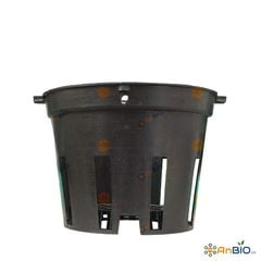 CHẬU NHỰA TRỒNG LAN 14cm