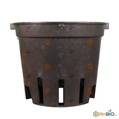 CHẬU NHỰA TRỒNG LAN PHI 23cm