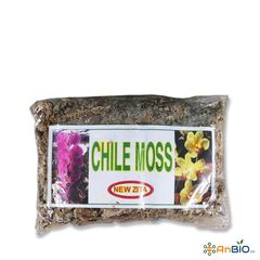 DỚN CHILE MOSS NEWZITA