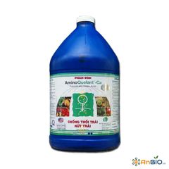 AminoQuelant - Ca Can 3.8L ( Canxi )