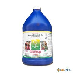 AminoQuelant - Fe (Sắt) | Khắc phục hiện tượng vàng lá - Can 3.8L