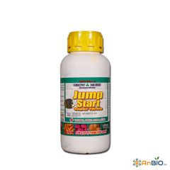 Growmore Jump Start Chai 500ml