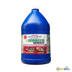 Seaweed Extract Can 3.8L
