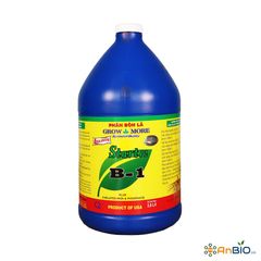 Vitamin B1 Start 3.8L - Growmore