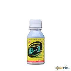NT Vitamin B1 Chai 100ml