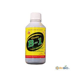 NT Vitamin B1 - Chai 250ml