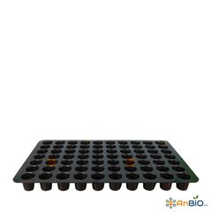 KHAY ƯƠM ĐA NĂNG 70 LỖ (600 x 380 x 50 : Ø45)