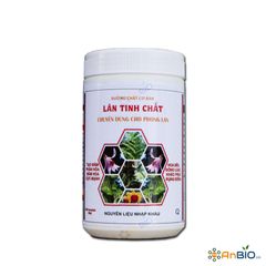 LÂN TINH CHẤT