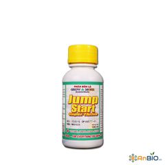 Growmore Jump Start Chai 100ml