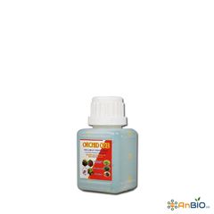 ORCHID ONE | SIÊU KÉO NGỌN ĐÂM CHỒI