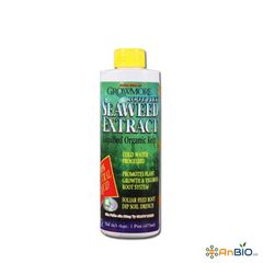 Growmore SEAWEED EXTRACT Chai 473ml