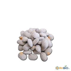 Phân Tan Chậm Quả Bàng Nurseryace4 12-6-6-2