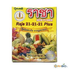 RAJA 21-21-21 Plus