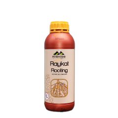 Phân bón hữu cơ RAYKAT Rooting | Rễ khỏe bụi to - Chai 1L