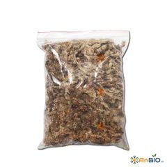 Rêu Sâu Chile Moss gói 100g
