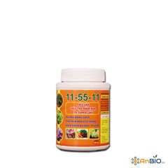 SIÊU LÂN TD - SUPER LÂN 11-55-11