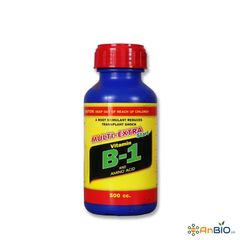 Multi-Extra Start Vitamin B1 Thái Lan Chai 500ml