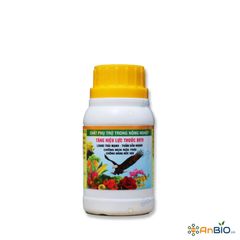 TĂNG HIỆU LỰC THUỐC BVTV - LƯU DẪN ĐẠI BÀNG