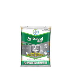 ANTRACOL 70WP | Thuốc trừ nấm bệnh phổ rộng có chứa Kẽm - Gói 100g