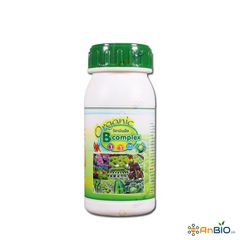 Vitamin B1-36 Thái Lan (Organic B Complex)