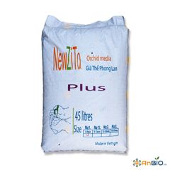 VỎ THÔNG NewZita Plus Size 6–9mm