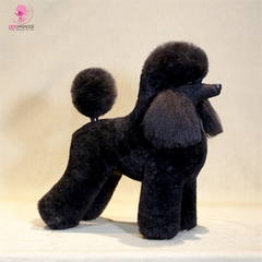 Lông chó giả toàn thân Poodle Lamb Whole Lông đen | JIANG