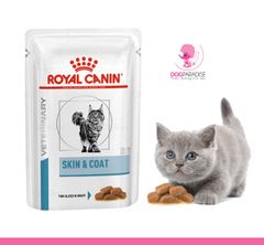 Pate hỗ trợ cho mèo bị viêm da và rụng lông Skin & Coat Feline - Royal Canin