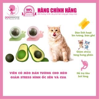 Cỏ mèo dạng viên dán tường