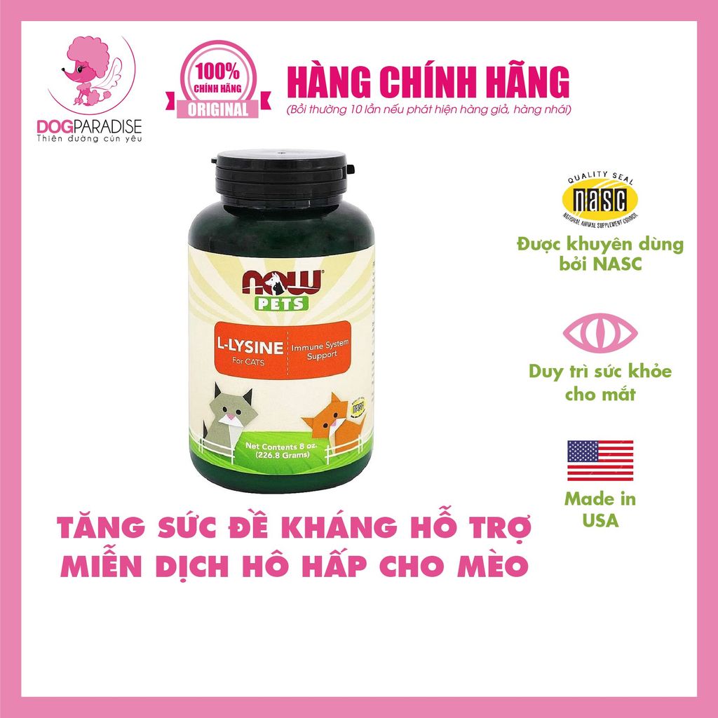 Tăng sức đề kháng hỗ trợ miễn dịch hô hấp cho mèo Now Pet