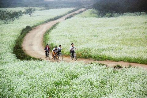 HÀ NỘI  - MỘC CHÂU