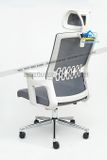 Ghế văn phòng chân xoay có tựa lưng cao - SGX020