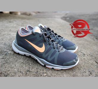 Giày Nike Flex Supreme TR 3 Training (02)