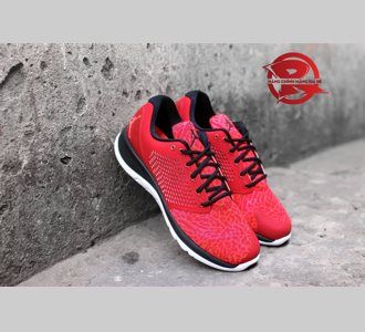 Giày Jordan Flight Flex Trainer